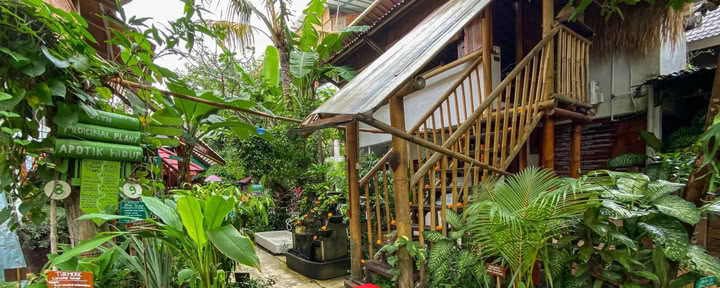 Serenity Eco Guesthouse und Yoga