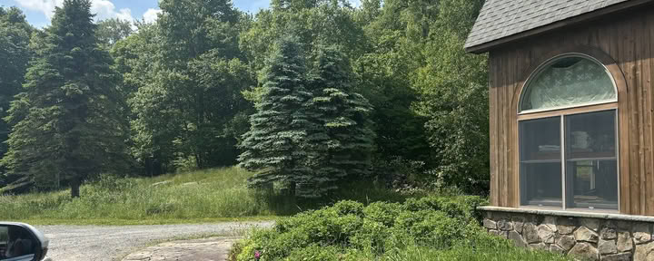 Irgendwo in der Zeit Farm