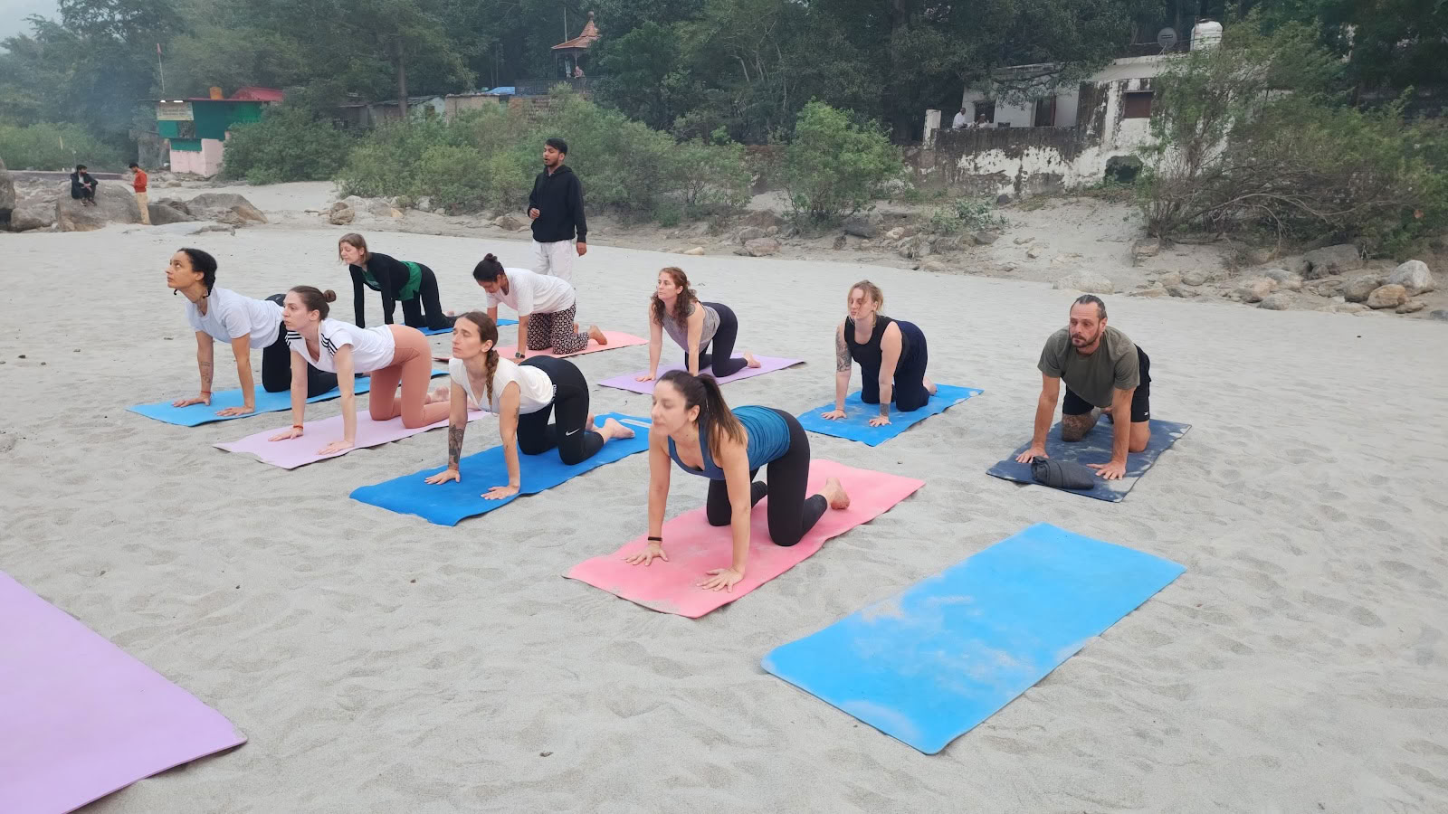 Sri Yoga Ashram | Anbieter von Yoga-Lehrer-Ausbildungskursen in Rishikesh