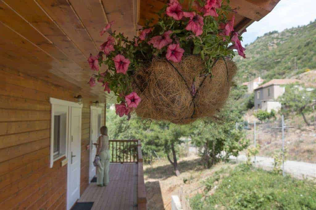 Ktima Noosfera Wellness- und Retreat-Zentrum