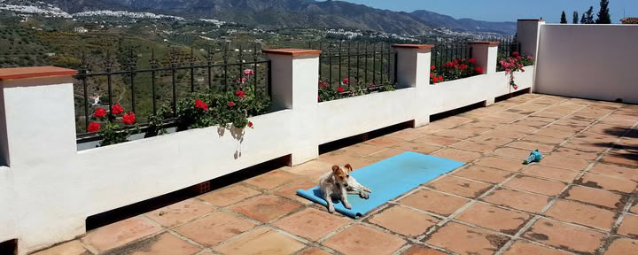 Yoga-Urlaub Paradiso. La Rejana
