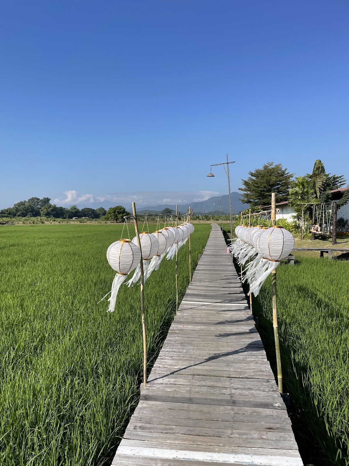 Yoga-Retreat-Zentrum Suan Sati
