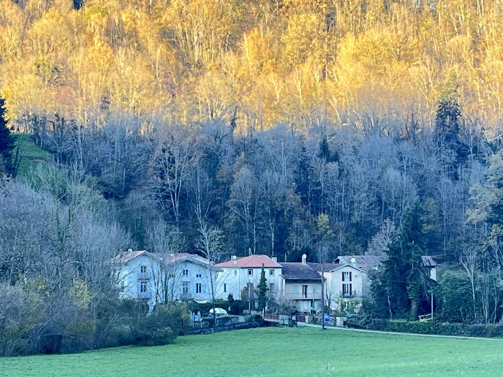 Viveka Centre für Sein