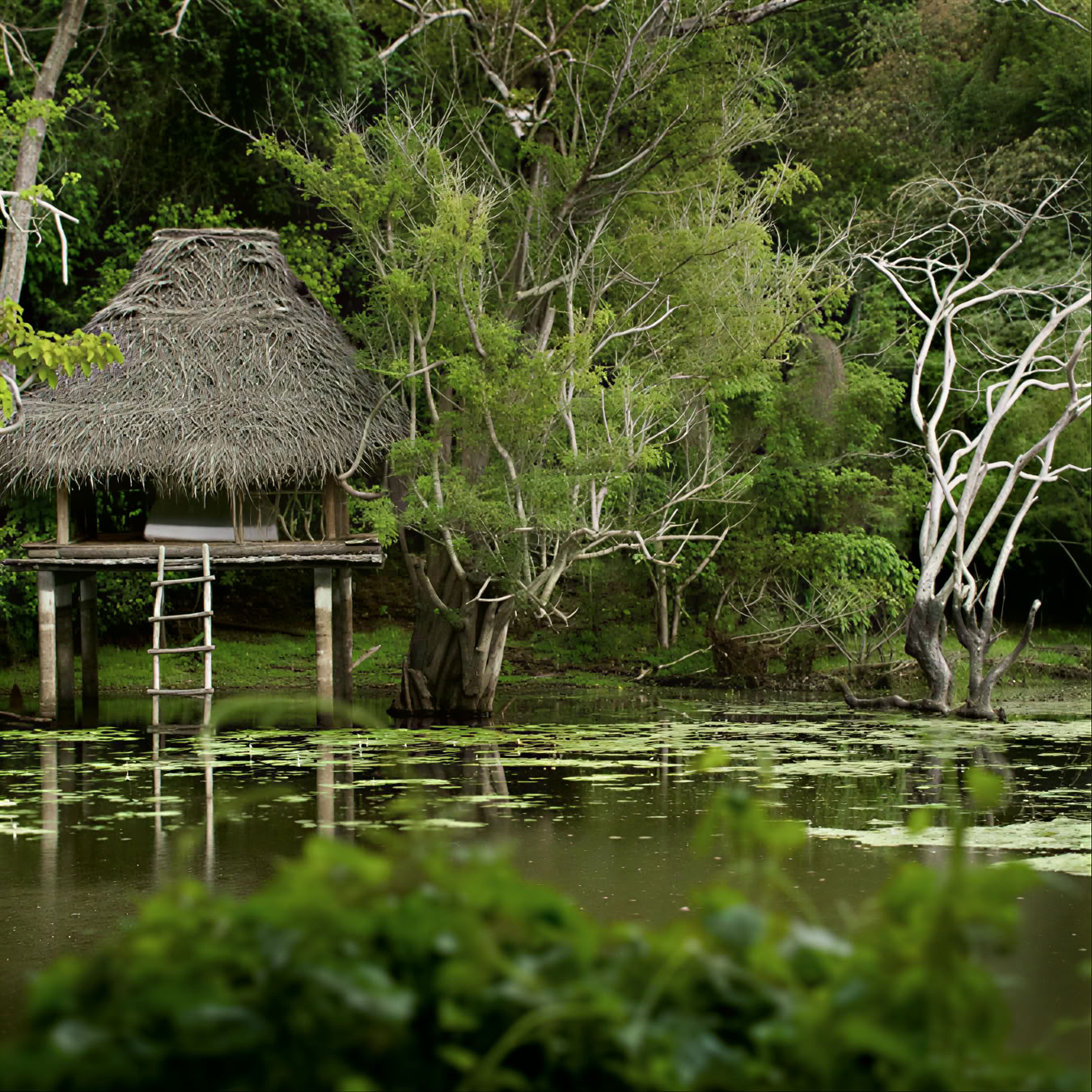 Ulpotha Yoga- und Ayurveda-Retreat