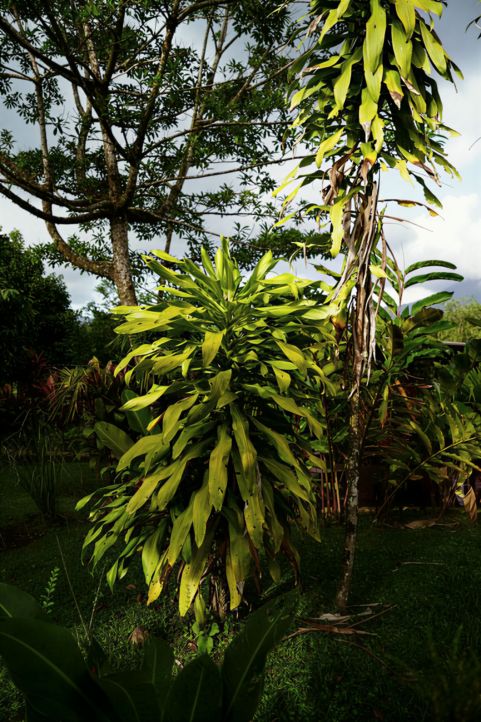 Essence Arenal Hotel, Spa & Biofarm