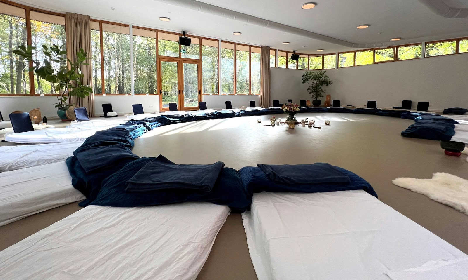 ANIMA HEILINSTITUT
