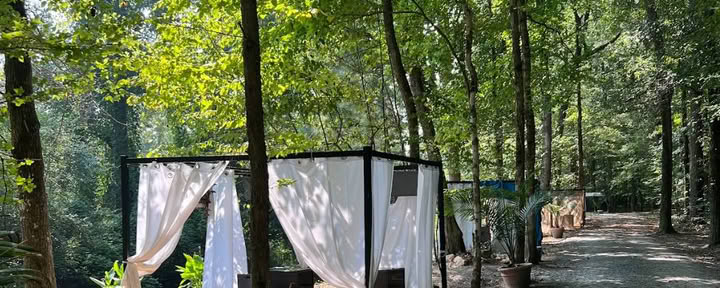 Paradiespark Atlanta