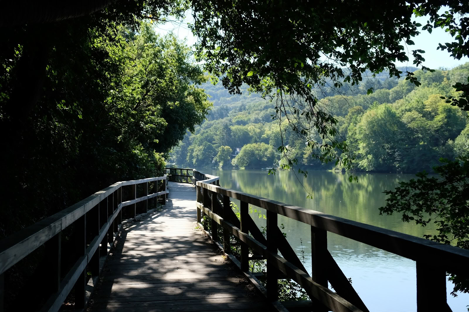 Anandam Yoga-Schule – Nationalpark Eifel