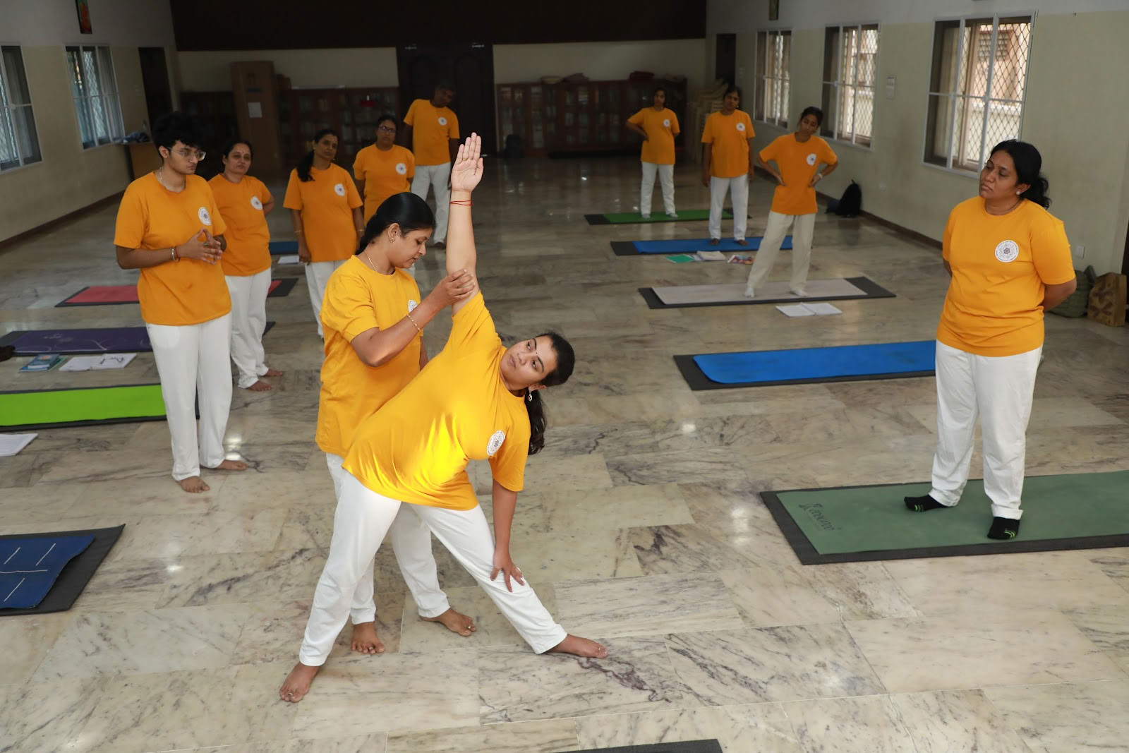 Integral-Yoga-Institut