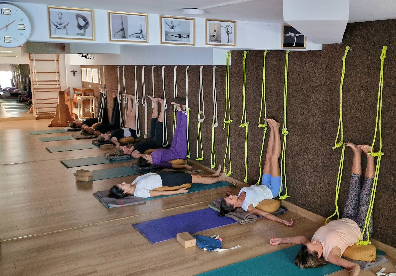 Sol Viegas Iyengar-Yoga & Massage
