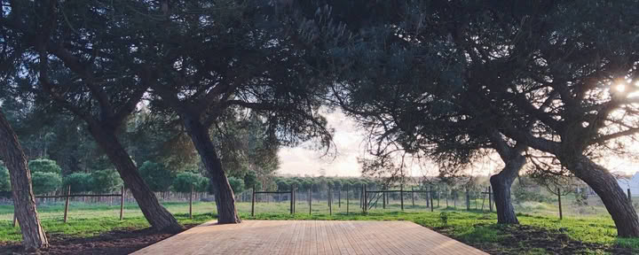 Cocoon Portugal