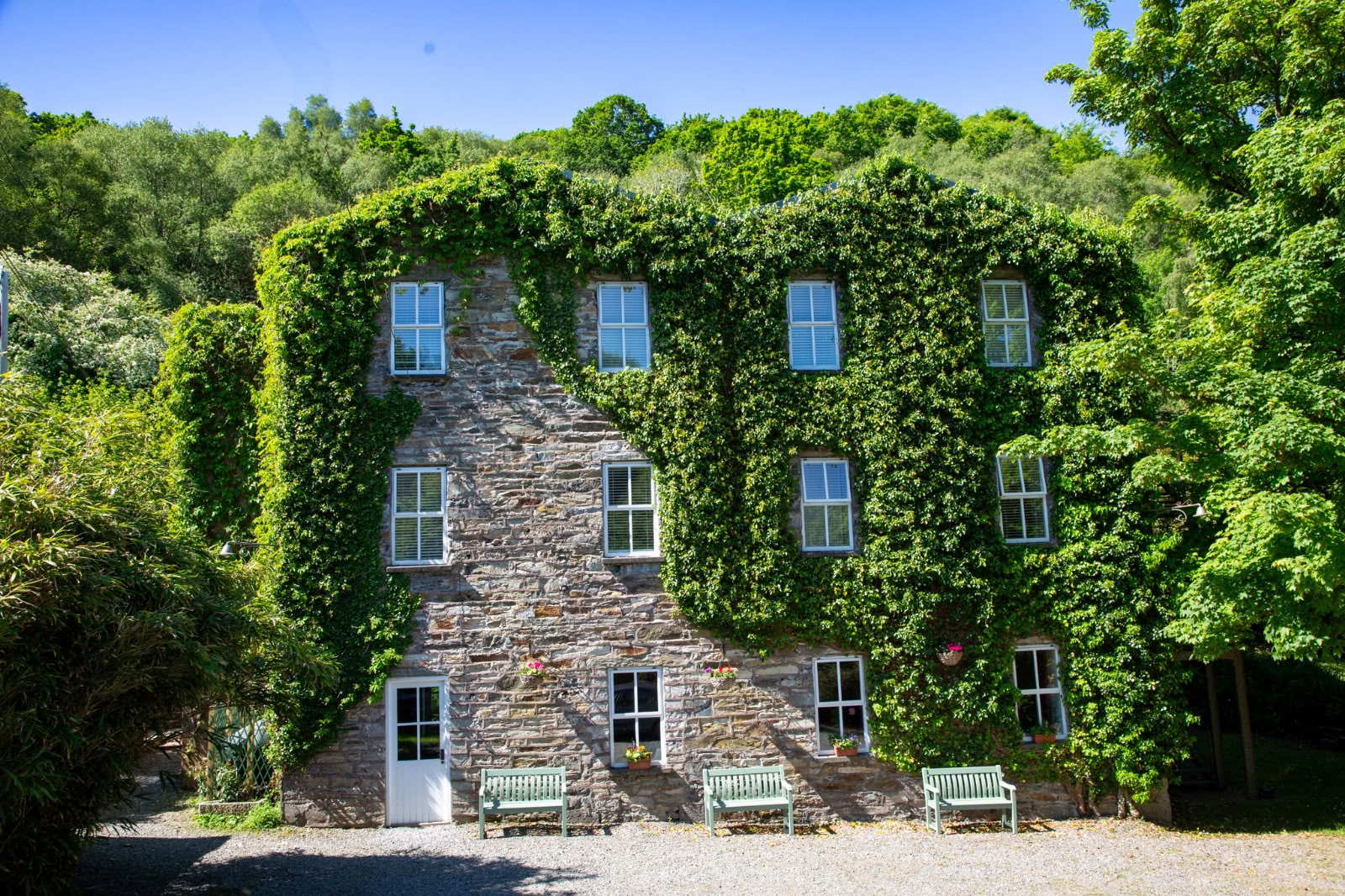 Cloona Health & Wellness Retreat
