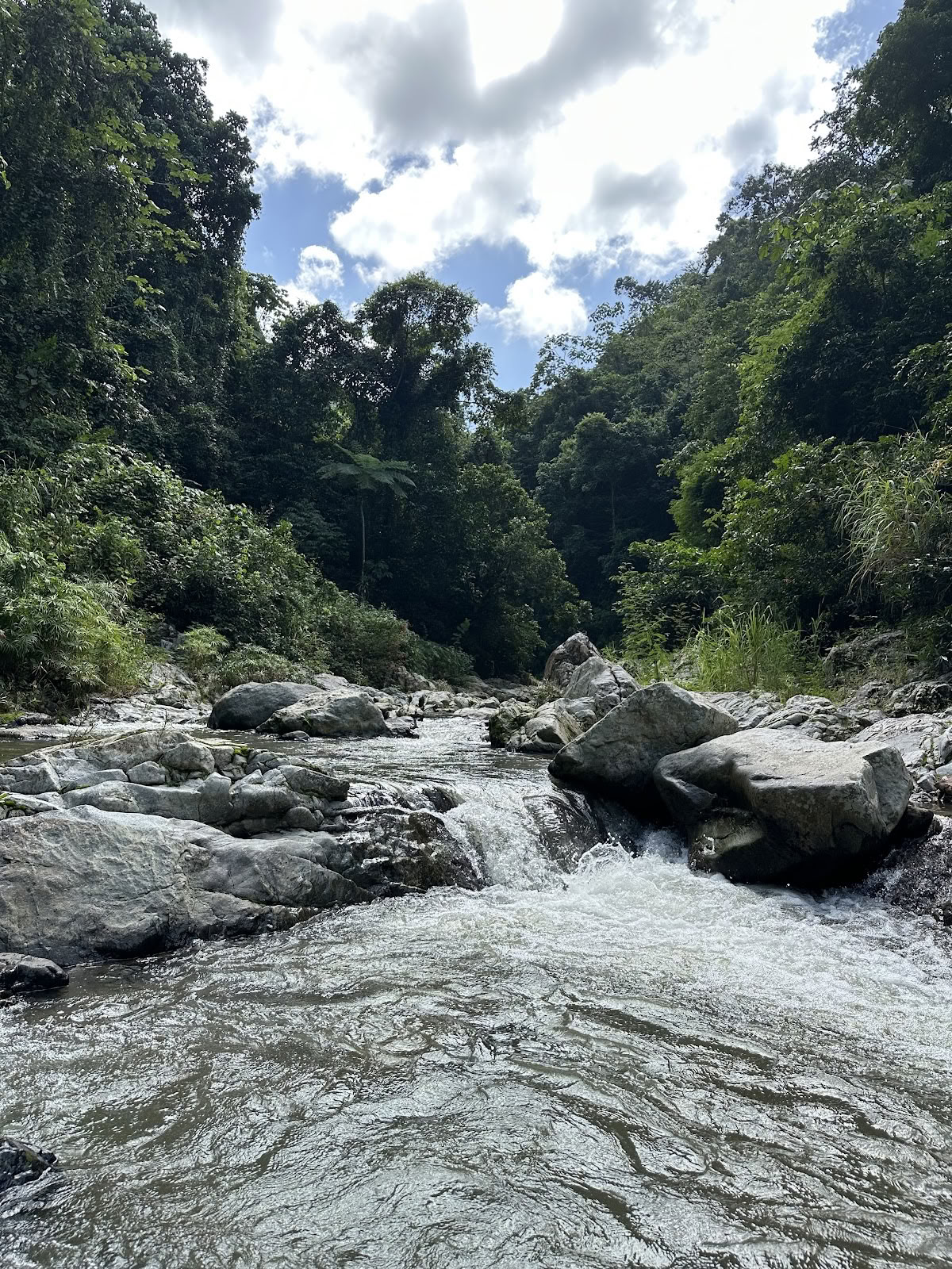 Finca Remedio