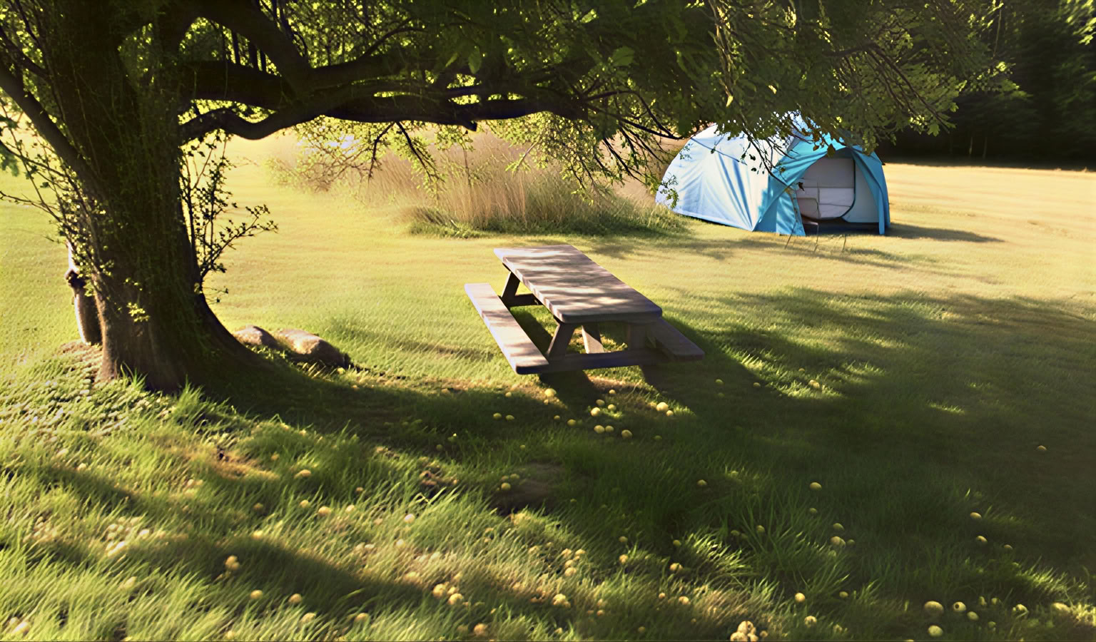 Camping/Zelt oder Fahrzeug