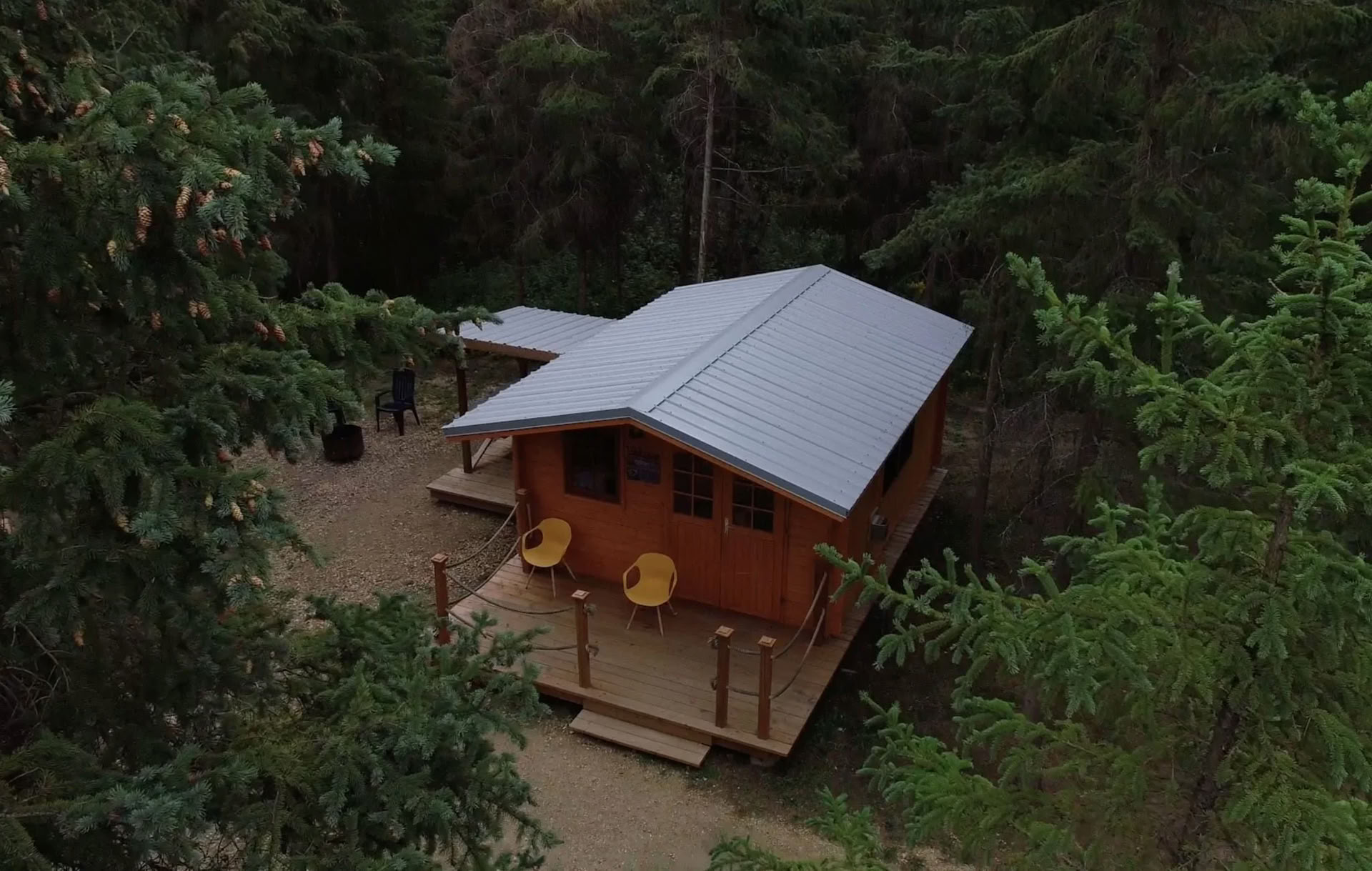 Die Hütte im Wald