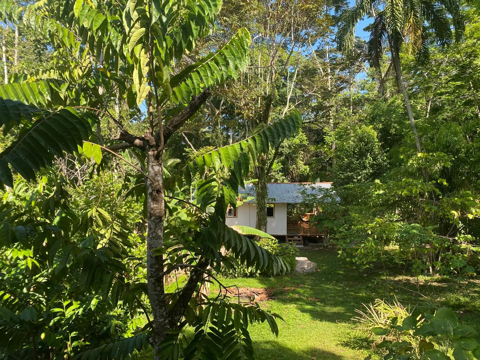 Casa Mono