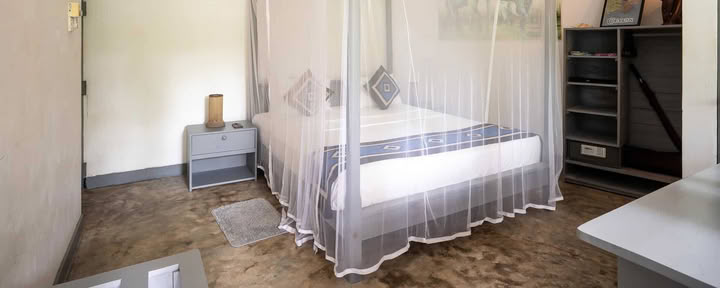 Zimmer mit Dschungelblick